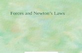 Forces and Newton’s Laws. Force A Force is a push or a pull that one body exerts on another. All Forces are measured in Newtons (N)