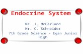Endocrine System Ms. J. McFarland Mr. C. Schneider 7th Grade Science - Egan Junior High.