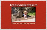 Transcendentalism Discover Yourself in Nature. Social movements connected to Transcenddentalism Improve public education End slavery Elevate the status.