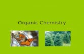 Organic Chemistry What is organic Chemistry? It’s like all about CARBON C.