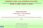 A.Montani; The COSMO-LEPS system. COSMO-LEPS and COSMO-S14-EPS: what is old, what is new. Andrea Montani, C. Marsigli, T. Paccagnella ARPA-SIMC HydroMeteoClimate.