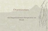 Organization An Organizational Perspective on Work.