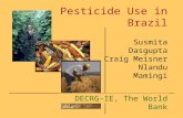 Pesticide Use in Brazil Susmita Dasgupta Craig Meisner Nlandu Mamingi DECRG-IE, The World Bank.