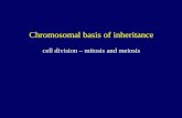 Chromosomal basis of inheritance cell division – mitosis and meiosis.