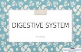 DIGESTIVE SYSTEM Dr. Peterson. Word parts related to the mouth Word parts related to the throat Word parts related to the organs for digestion, absorption.