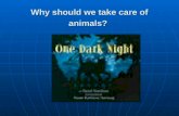 Why should we take care of animals?. Small Group Timer Timer.