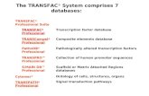 The TRANSFAC ® System comprises 7 databases: TRANSFAC ® Professional Suite TRANSFAC ® Professional Transcription factor database TRANSCompel ® Professional.