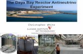 PHENO 2010 Christopher White, IIT 1 The Daya Bay Reactor Antineutrino Experiment Christopher White 1.