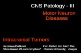 CNS Patology - III Motor Neuron Diseases Jaroslava Dušková Inst. Pathol. 1st. Med. Fac. jdusk/Charles University, Prague Intracranial.