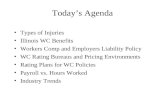 Today’s Agenda Types of Injuries Illinois WC Benefits Workers Comp and Employers Liability Policy WC Rating Bureaus and Pricing Environments Rating Plans.