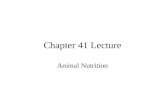 Chapter 41 Lecture Animal Nutrition. CHAPTER 41 ANIMAL NUTRITION Copyright © 2002 Pearson Education, Inc., publishing as Benjamin Cummings Section A: