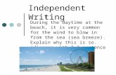 Independent Writing During the daytime at the beach, it is very common for the wind to blow in from the sea (sea breeze). Explain why this is so. (diagram.