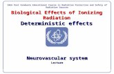 Biological Effects of Ionizing Radiation Deterministic effects Neurovascular system Lecture IAEA Post Graduate Educational Course Radiation Protection.