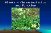 Plants – Characteristics and Function. Evolution of Plants Scientists believe that terrestrial plants evolved from green algae as both show the following.
