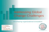 Addressing Global Change Challenges Developing organizational innovation Steve Waddell Co-Lead Steward GAN-Net +1 (617) 482-3993 swaddell@gan-net.net …making.