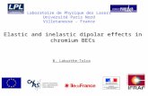 Elastic and inelastic dipolar effects in chromium BECs Laboratoire de Physique des Lasers Université Paris Nord Villetaneuse - France B. Laburthe-Tolra.