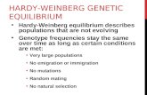 HARDY-WEINBERG GENETIC EQUILIBRIUM Hardy-Weinberg equilibrium describes populations that are not evolving Genotype frequencies stay the same over time