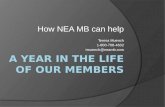 How NEA MB can help Teresa Muench 1-800-708-4632 tmuench@neamb.com.