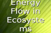 Energy Flow in Ecosystems. All Organisms Need Energy To Survive! Some organisms get energy by making it themselves These organisms are called autotrophs.
