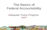 The Basics of Federal Accountability Adequate Yearly Progress AYP.