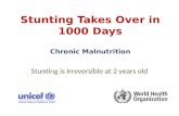 Stunting Takes Over in 1000 Days Chronic Malnutrition Stunting is Irreversible at 2 years old.
