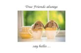 True Friends always say hello…. True friends don’t care If you’re different…
