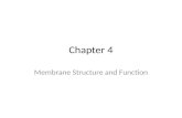 Chapter 4 Membrane Structure and Function. Plasma Membrane