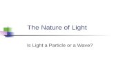 The Nature of Light Is Light a Particle or a Wave?