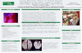 POSTER TEMPLATE BY:  Lasting Behavioral Effects of Altered Prenatal Development of the Brain: A Work in Progress Danielle Skapura.