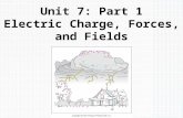 Unit 7: Part 1 Electric Charge, Forces, and Fields.