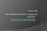A. Fabich, CERN MERIT collaboration meeting, CERN, 7-8 February 2008 MERIT beam intensities, Feb 08A. Fabich, CERN1.