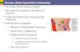 Innate (Non-Specific) Immunity  Divisions of the Immune System  Mechanical, Chemical, and Physical Barriers  Cells and Chemicals in Non-Specific Immunity.