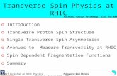 CCAST Workshop on RHIC Physics Transverse Spin Physics Beijing, August 13 th 2004 Transverse Spin Physics at RHIC o Introduction o Transverse Proton Spin.