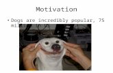 Motivation Dogs are incredibly popular, 75 million in US.