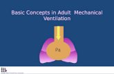 Basic Concepts in Adult Mechanical Ventilation Pa.