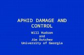 APHID DAMAGE AND CONTROL Will Hudson and Jim Dutcher University of Georgia.