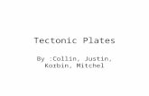 Tectonic Plates By :Collin, Justin, Korbin, Mitchel.