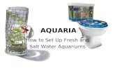AQUARIA How to Set Up Fresh and Salt Water Aquariums.