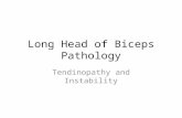 Long Head of Biceps Pathology Tendinopathy and Instability.