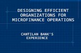 DESIGNING EFFICIENT ORGANIZATIONS FOR MICROFINANCE OPERATIONS CANTILAN BANK’S EXPERIENCE.