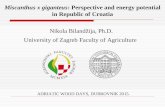 Miscanthus x giganteus: Perspective and energy potential in Republic of Croatia Nikola Bilandžija, Ph.D. University of Zagreb Faculty of Agriculture ADRIATIC.