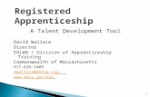 1 A Talent Development Tool David Wallace Director EOLWD / Division of Apprenticeship Training Commonwealth of Massachusetts 617-626-5409 dwallace@detma.org.