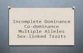 Incomplete Dominance Co-dominance Multiple Alleles Sex-linked Traits.