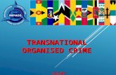 TRANSNATIONAL ORGANISED CRIME SECRET. CCSS TIER 1 THREATS: IMMEDIATE SIGNIFICANT THREAT.