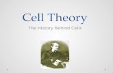 Cell Theory The History Behind Cells. Where does life come from?