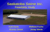 Saskatoba Swine Inc. Feasibility Study Kyle Dyok Melissa Fuchs Brandy Street Jenay Werle.