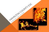 HAMILTON COUNTY ESC FORGING THE FUTURE. OUR HISTORY WITH DESIGN Twelve years of experience Four distinctly different organizational designs Countless.