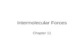 Intermolecular Forces Chapter 11. States of Matter The fundamental difference between states of matter is the distance between particles.