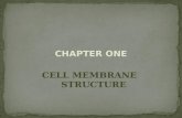 CHAPTER ONE CELL MEMBRANE STRUCTURE. CHAPTER TWO MEMBRANE TRANSPORT