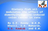 Dietary fish oil modulates the effect of dimethylhydrazine-induced colon cancer in rats By G.E. Rasmy, W.K.B. Khalil, S.A. Moharib, A.A. Kawkab, and E.W.